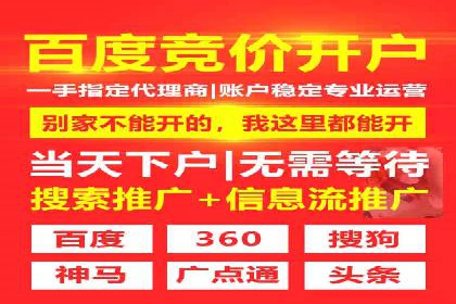 SEM推广案例：数据分析与优化